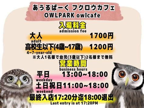 Owlpark Owl Cafe Ikebukuro tokyo .